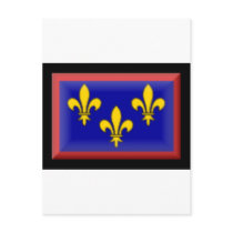 France-Anjou Flag Post Card