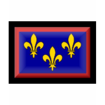France-Anjou Flag Tee Shirt by jacinto888
