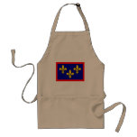 France Anjou, France flag Aprons