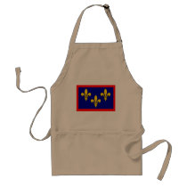 France Anjou, France flag Aprons