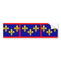France Anjou, France flag Bumper Stickers