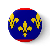 France Anjou, France flag Pins
