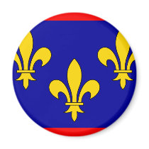 France Anjou, France flag Refrigerator Magnets