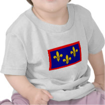 France Anjou, France flag Tee Shirt