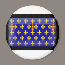 France-Artois Flag magnets