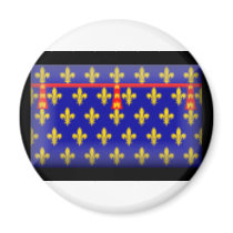France-Artois Flag magnets by jacinto888 France-Artois Flag magnets