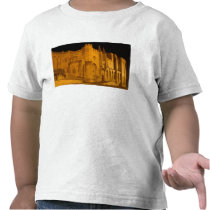 France, Avignon, Provence, Papal Palace at night 2 T Shirt