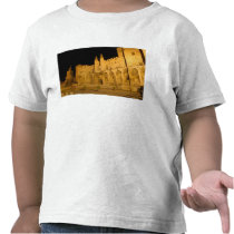 France, Avignon, Provence, Papal Palace at night Tshirt