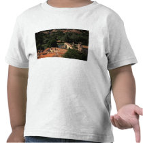 France, Avignon, Provence. Pont St, Benezet. T-shirt