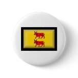 France-Bearn Flag buttons