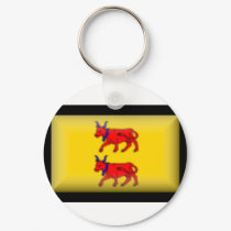 France-Bearn Flag keychains