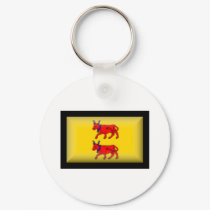 France-Bearn Flag keychains