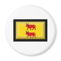 France-Bearn Flag magnets by jacinto888 France-Bearn Flag magnets