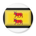 France-Bearn Flag magnets by jacinto888 France-Bearn Flag magnets