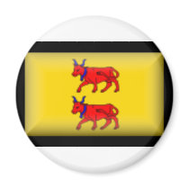 France-Bearn Flag magnets by jacinto888 France-Bearn Flag magnets