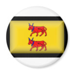 France-Bearn Flag magnets