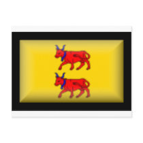 France-Bearn Flag Post Cards