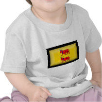 France-Bearn Flag t-shirts