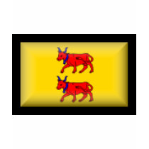 France-Bearn Flag t-shirts by jacinto888 France-Bearn Flag t-shirts