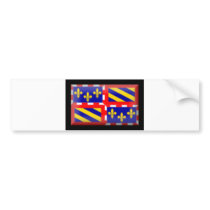 France-Bourgogne Flag bumper stickers