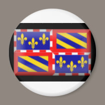 France-Bourgogne Flag magnets