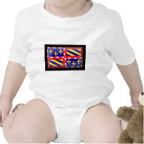 France-Bourgogne Flag t-shirts