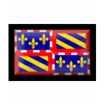 France-Bourgogne Flag t-shirts