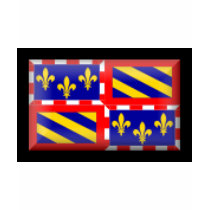 France-Bourgogne Flag t-shirts