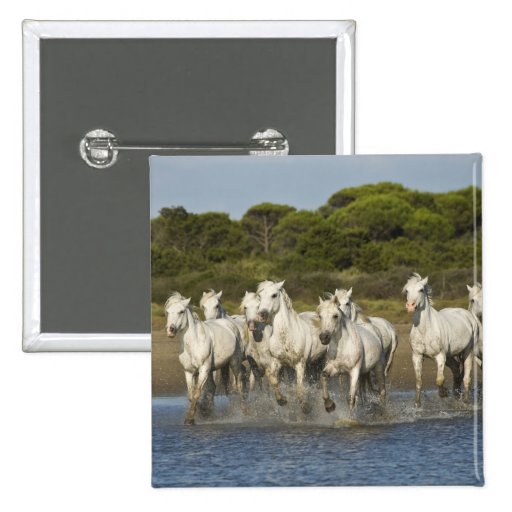 France, Camargue. Horses run through the estuary 3 Button