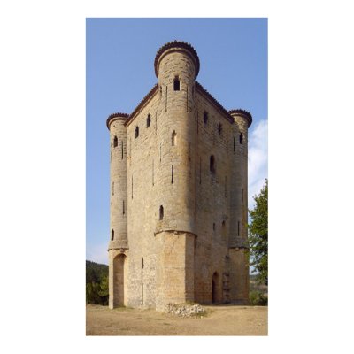 France - Chateau d'Arques - Diagonal frontal view Posters by juanmah