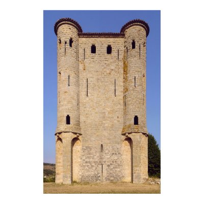 France - Chateau d'Arques - Lateral view Poster by juanmah