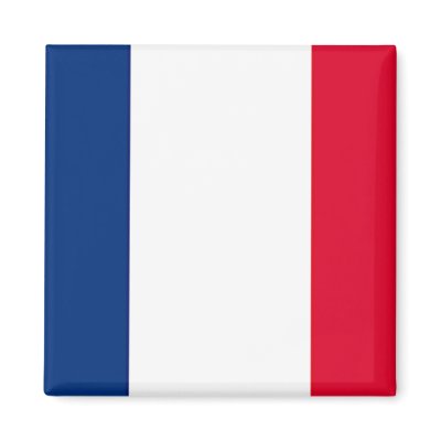 France Flag Refrigerator Magnets by JimisHippie