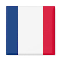 France Flag magnets