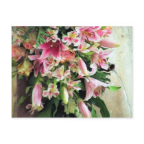 France Flowers by Fountain Postcard