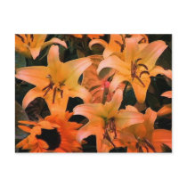 France Flowers postcards by rainbowdharma France Flowers postcards