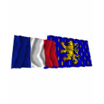 France &amp; Franche-Comté waving flags T Shirts