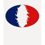 Gnarly French Flag T-Shirt