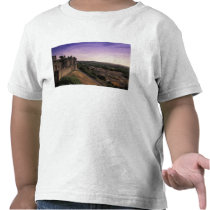 FRANCE, Languedoc Carcassonne 2 T-shirts