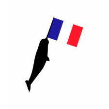 France Narwhal shirt