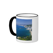 France, Nice, aerial view of the port Mugs