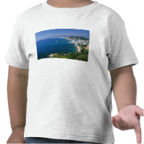 France, Nice, aerial view of the port Tee Shirt