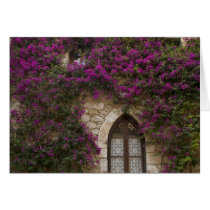 France, Provence, Eze. Bright pink Card