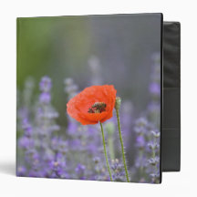 France, Provence. Lone poppy in field of Binders