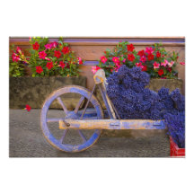 France, Provence, Sault. Old wooden cart with Photographic Print