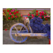 France, Provence, Sault. Old wooden cart with Post Card