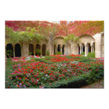 France, St. Remy de Provence, cloisters at 2 Photographic Print