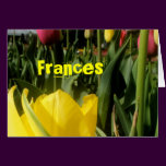 Frances