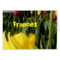 Frances cards by lollypopgirrrl Frances cards