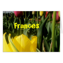 Frances cards by lollypopgirrrl Frances cards