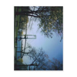 Francis Lewis Park Postcard